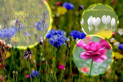 blumensorte|blumenarten mit namen.